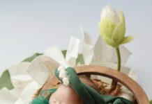 Autorización Para La Conducción De Vehículos: ¿Cómo Obtenerla Fácilmente?