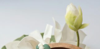 Autorización Para La Conducción De Vehículos: ¿Cómo Obtenerla Fácilmente? Noticias de Panamá