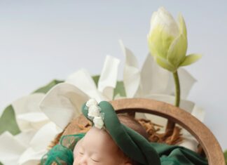 Autorización Para La Conducción De Vehículos: ¿Cómo Obtenerla Fácilmente?