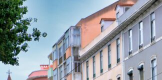 pexels photo 34753108 Noticias de Panamá