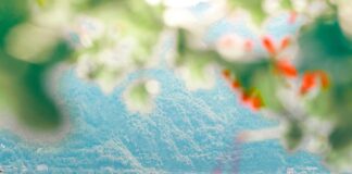 Meduca Planilla: Descubre Cómo Optimizar Tu Proceso Educativo Noticias de Panamá