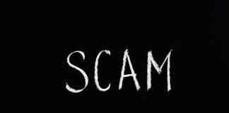 500 Días Con Ella: ¿Qué Lecciones Aprendimos Sobre El Amor? Noticias de Panamá