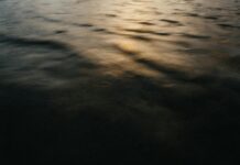 Salvoconducto: ¿Cómo Obtenerlo y Qué Beneficios Ofrece?