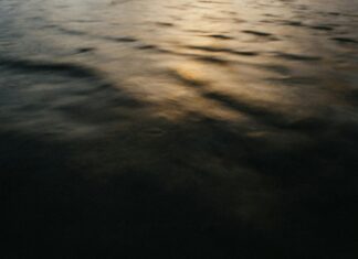 Salvoconducto: ¿Cómo Obtenerlo y Qué Beneficios Ofrece?