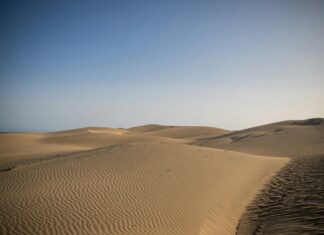 Traductor Inglés Español: Descubre Cómo Mejorar Tu Comunicación