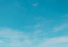 Gracie Bon: ¿Cómo Transformar Tu Vida Con Su Filosofía?