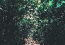 Qué Se Celebra En Noviembre: Descubre Tradiciones Fascinantes