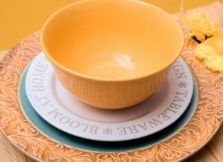 Descargar WhatsApp Plus: ¿Por Qué Todos Quieren Usarlo Ya?