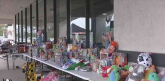 Proyecto 25 regresa al Condado de la Bahía, llevando alegría navideña a miles de niños proyecto-25-regresa-al-condado-de-la-baha-llevando-alegra-navidea-a-miles-de-nios