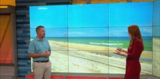 Servicios de Cuidado en la Playa: Cena Anual en la Playa servicios-de-cuidado-en-la-playa-cena-anual-en-la-playa