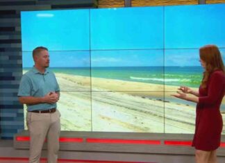 Servicios de Cuidado en la Playa: Cena Anual en la Playa servicios-de-cuidado-en-la-playa-cena-anual-en-la-playa