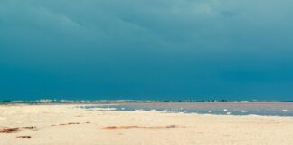 El Tiempo En La Chorrera: ¿Qué Clima Sorprendente Te Espera? Noticias de Panamá