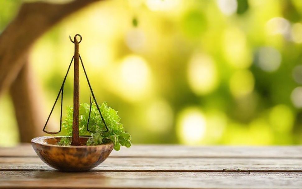 5 formas de equilibrar tus necesidades con la Pirámide de Maslow para un crecimiento sostenible.