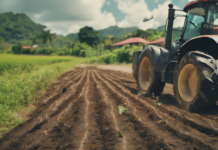 Análisis: Agro en Panamá y Por Qué Importamos Todo en 2025 Análisis: Agro en Panamá y Por Qué Importamos Todo en 2025