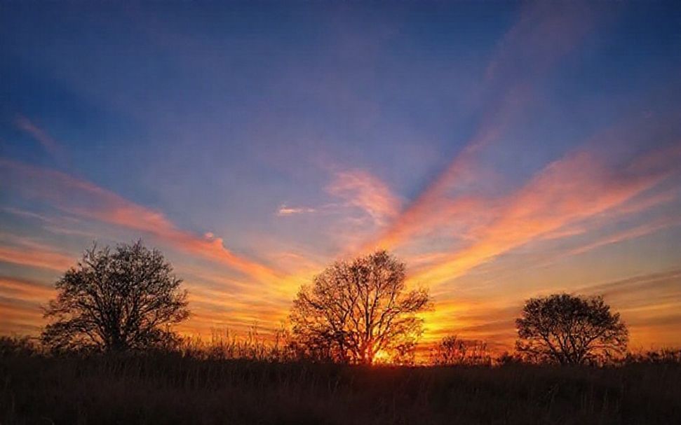 Reflexiona en la belleza del atardecer de hoy 4 Cómo Capturar la Esencia del Atardecer en Arte y Fotografía