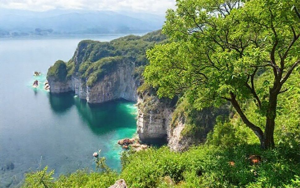 Descubre la conexión secreta con la naturaleza para reducir el estrés y aumentar la felicidad