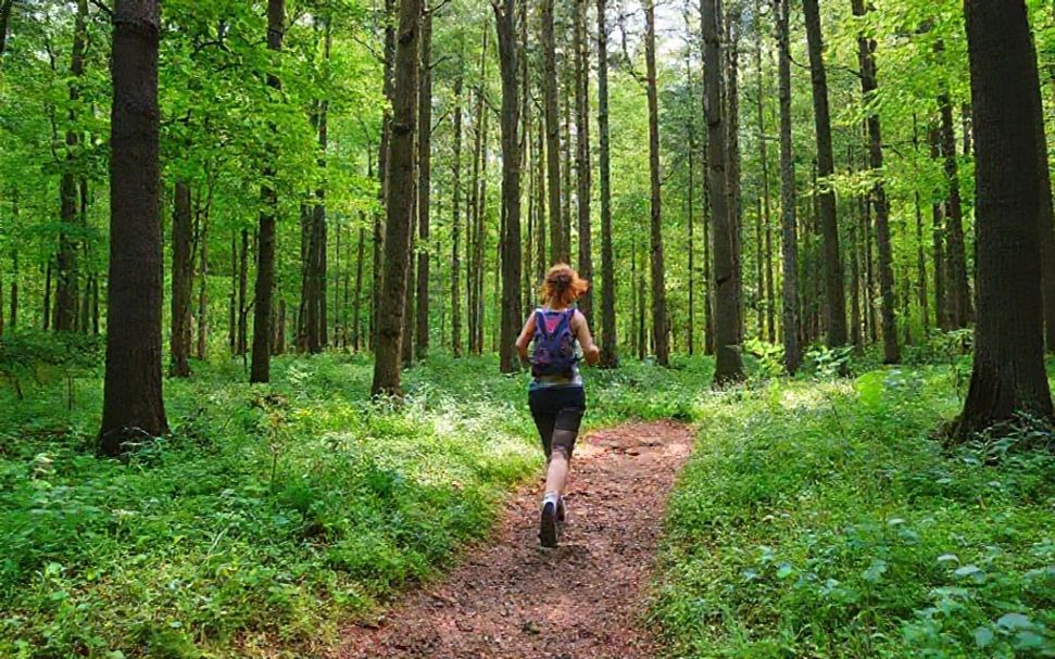 Por qué caminar en el bosque es mejor que hacer ejercicio en una sala de gimnasio