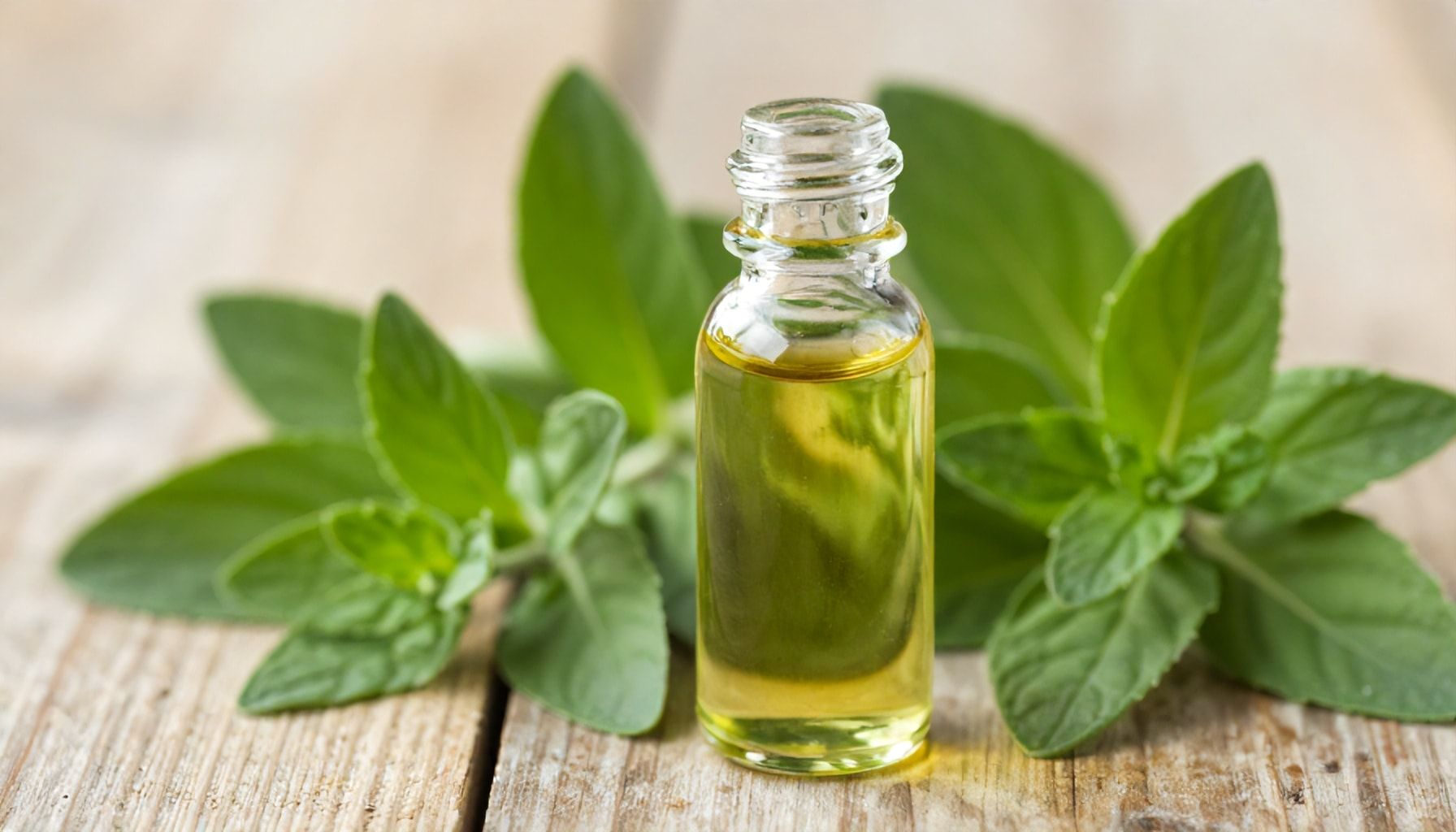 5 beneficios del aceite de oregano respaldados por la ciencia 3 Cómo incorporar el aceite de oregano en la dieta diaria