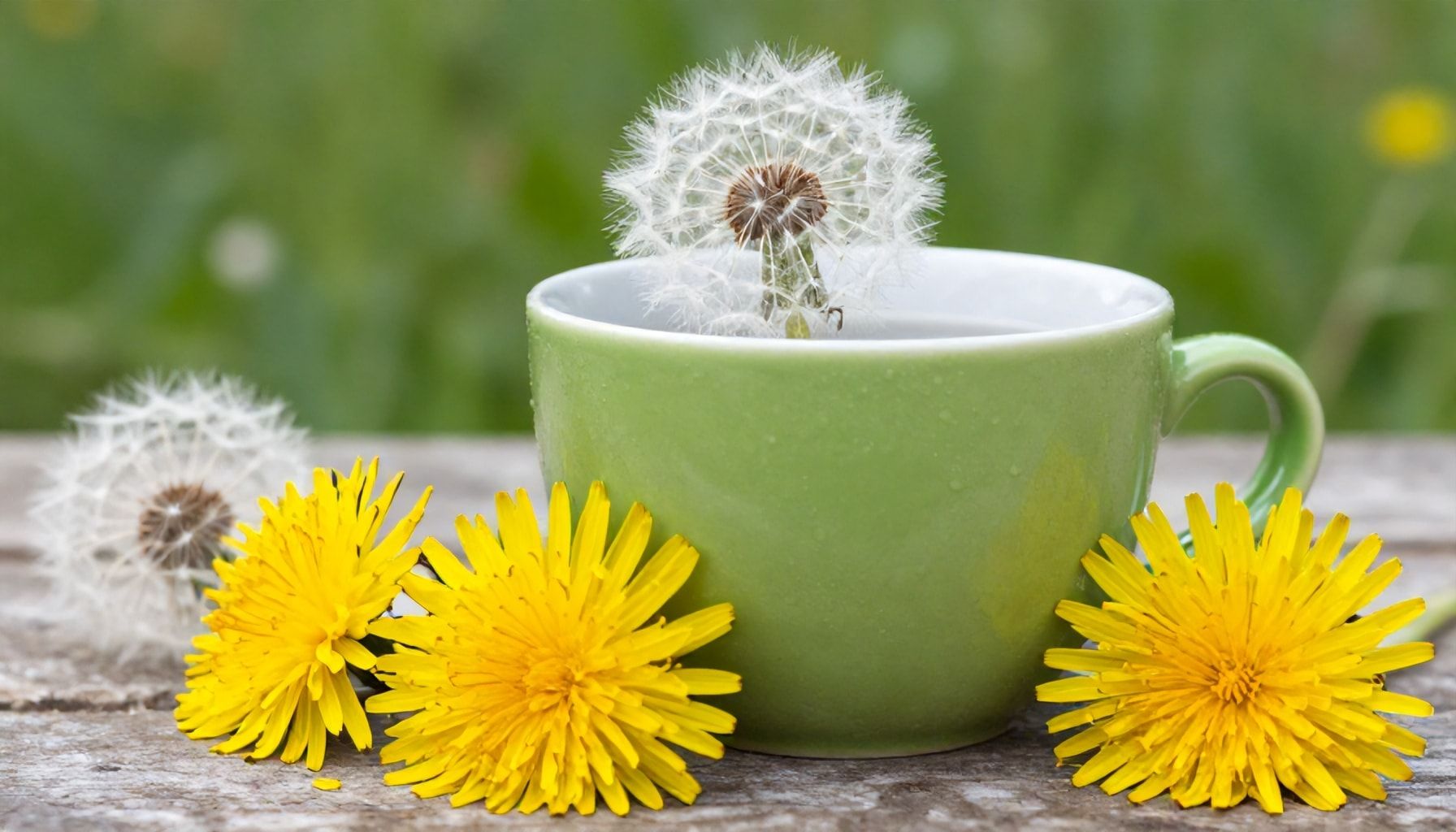 Cómo incorporar el diente de león a tu dieta diaria
