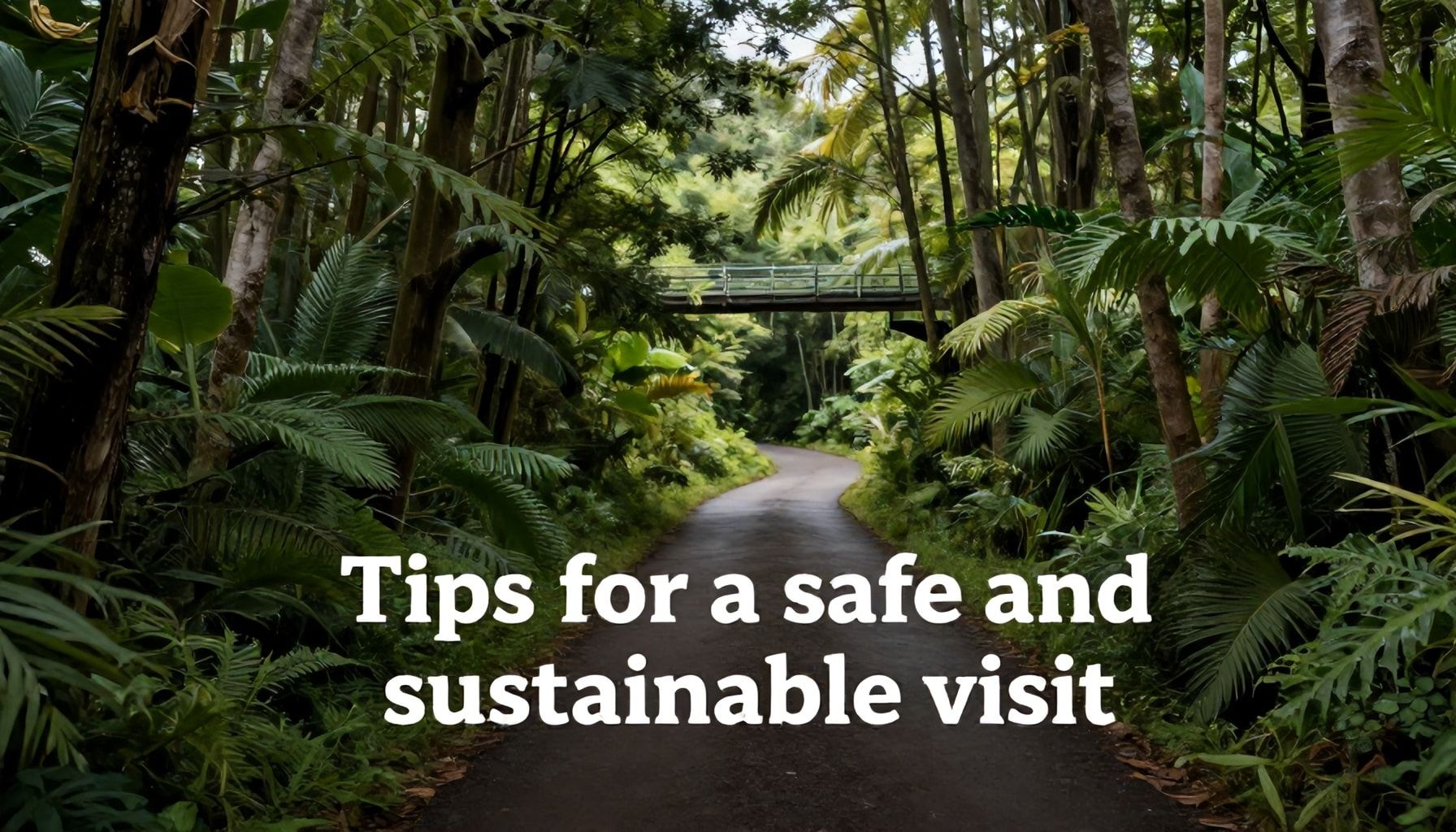 Consejos para una visita segura y sostenible