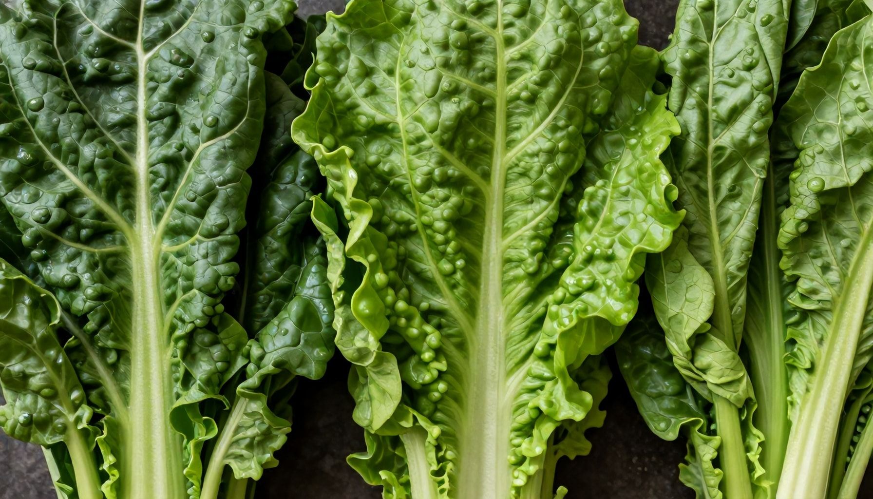 Descubre por qué las verduras de hoja verde son esenciales para tu bienestar