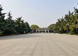 Transforma tu belleza con un diseño personalizado de uñas