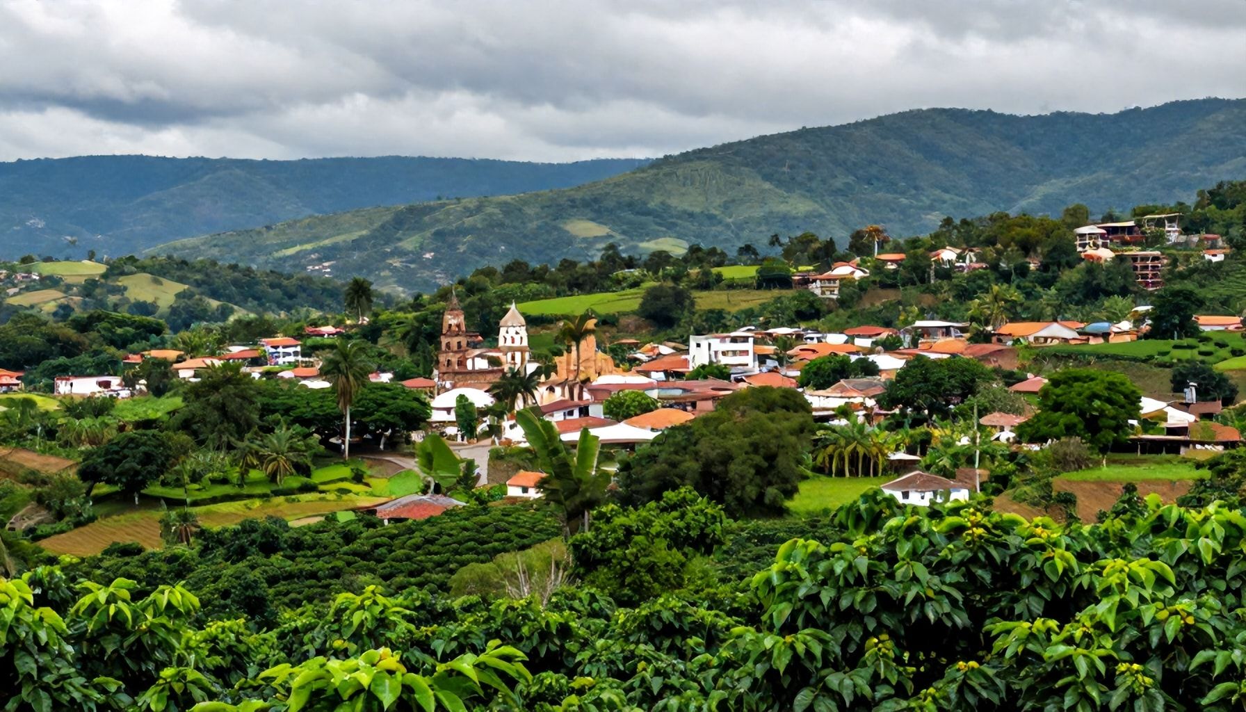 El clima en Martínez de la Torre: características principales