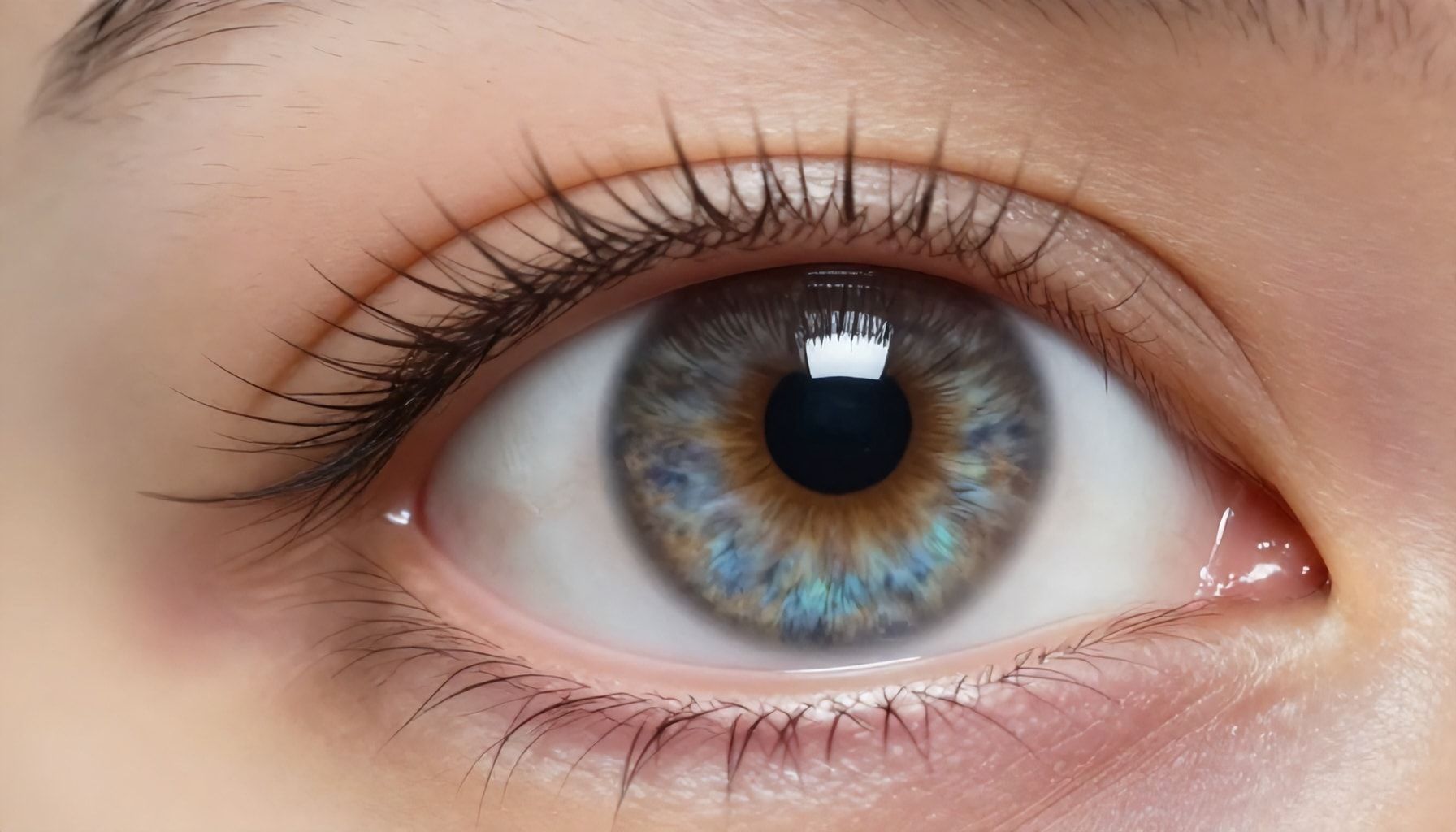 Las 5 funciones vitales que desempeñan las diferentes partes del ojo
