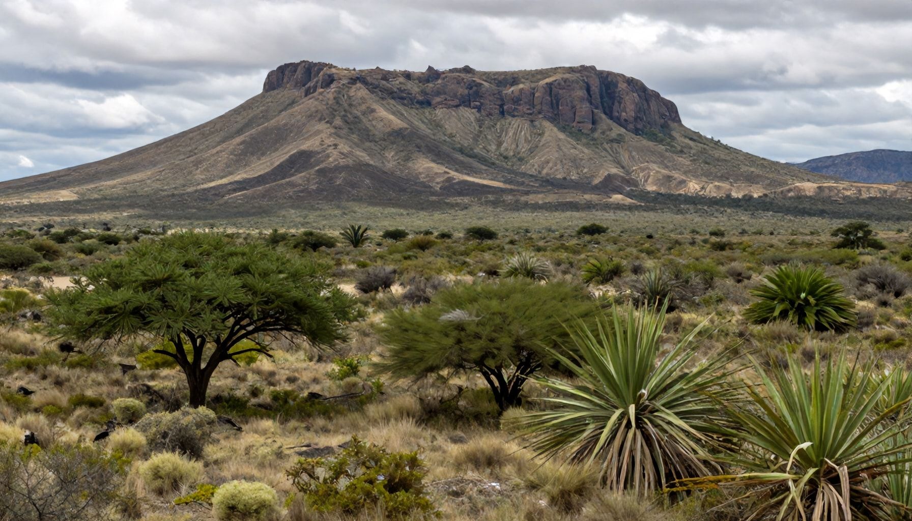 Riqueza natural y biodiversidad única