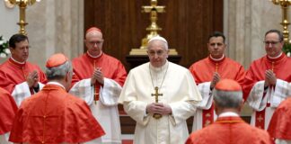 cardenales papa francisco featured 1770742654 Noticias de Panamá