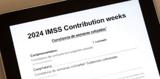 constancia de semanas cotizadas featured 1770713899 Noticias de Panamá