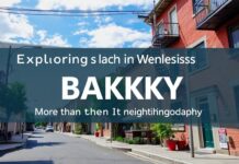 Exploring the Wonders of Bakırköy: More than Just a Neighborhood