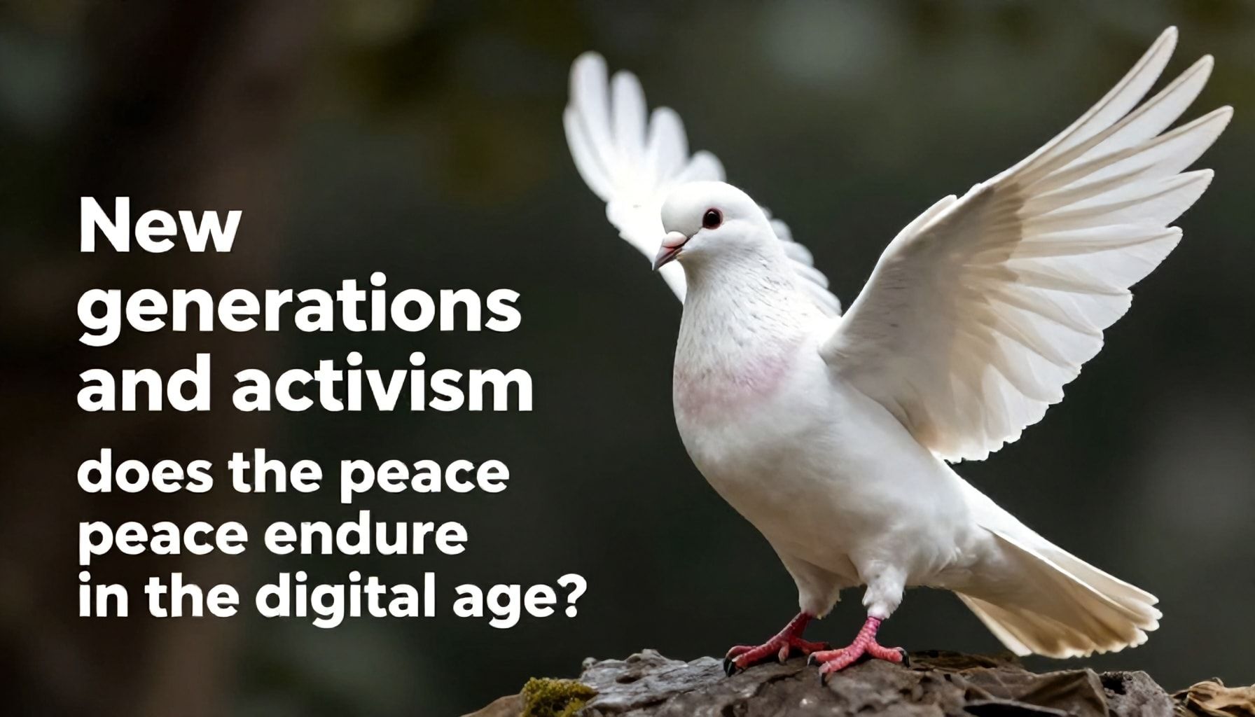 Nuevas generaciones y activismo: ¿sobrevive la paloma de la paz en la era digital?